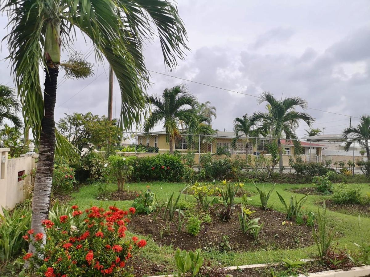 Ventnor House Apartments Bridgetown Esterno foto